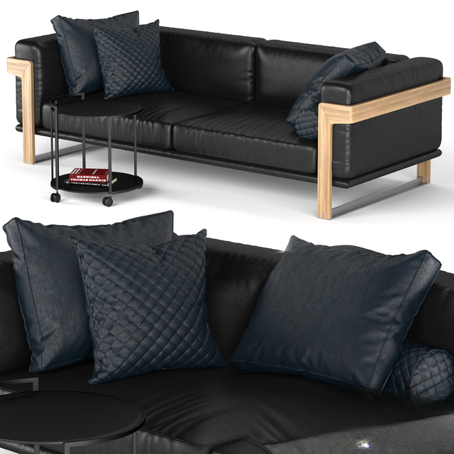 Black Leather Modern Sofa sofa