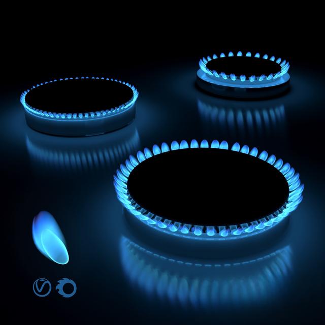 Blue Flame Gas Burner appliance