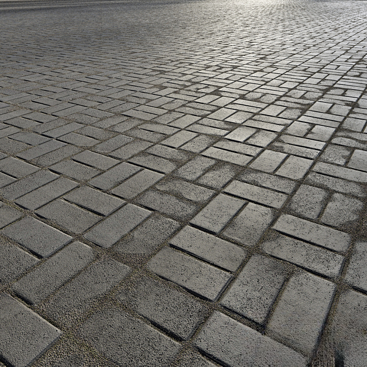 Grey Brick Pavement covering