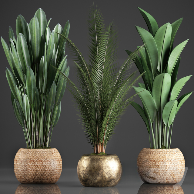 Green Plant Decor