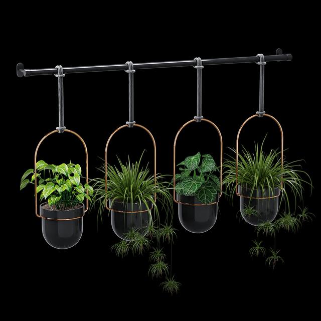 HangingPlantPotModern