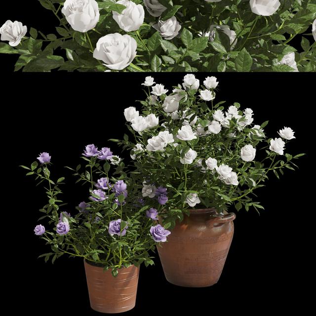 Flower Pot Decoration