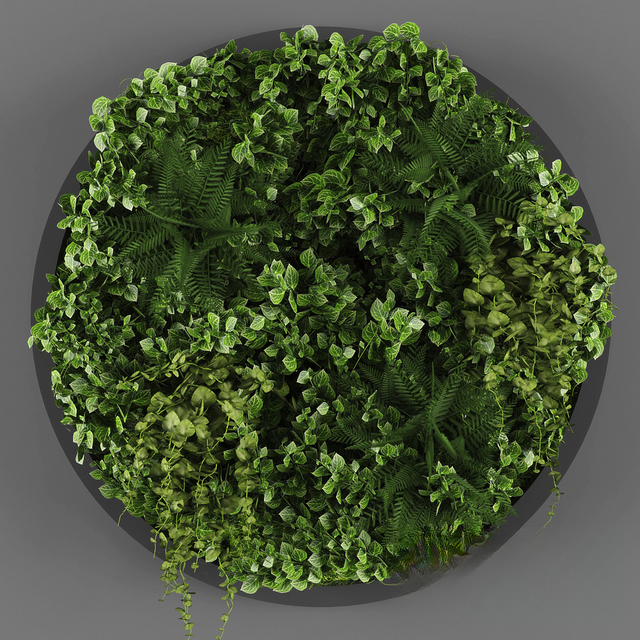 Green Plant Round