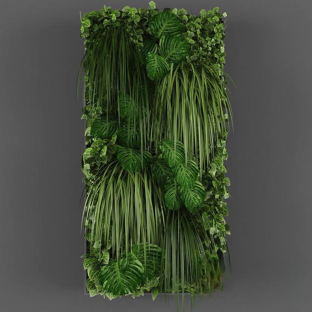 Green Plant Wall