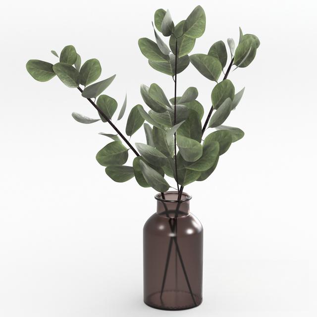 Eucalyptus Leaves Brown Vase