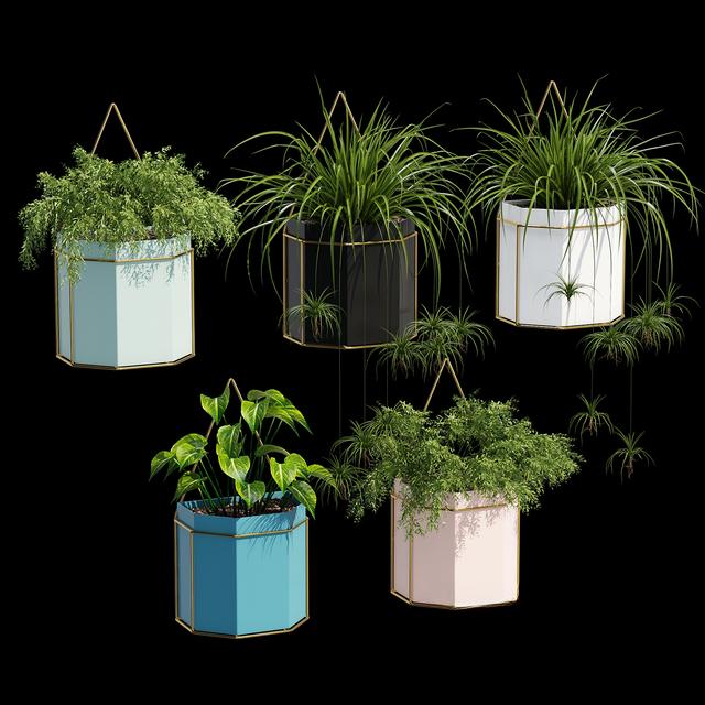 Colorful Hanging Planters