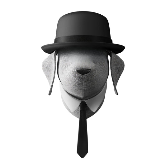 Dog Hat Tie