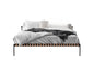Modern Metal Bed bed