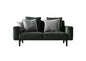 Green Modern Sofa sofa