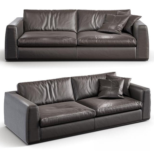 Leather Modern Sofa sofa