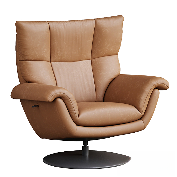 Leather Brown Modern singlesofa