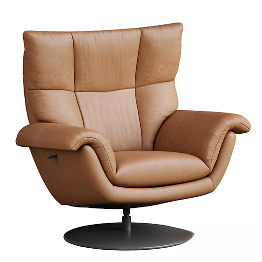 Leather Brown Modern singlesofa