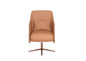 Brown Modern Chair singlesofa