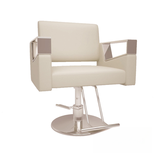 Modern Chair Salon singlesofa