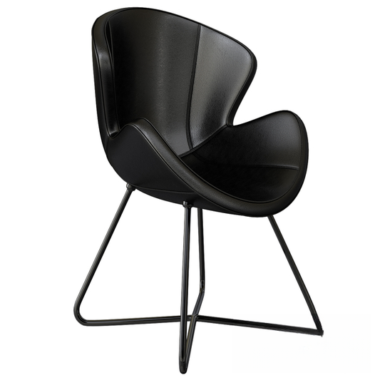 Modern Black Chair singlesofa