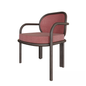 Modern Metal Chair singlesofa