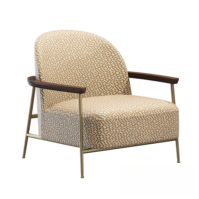 Patterned Modern Chair singlesofa