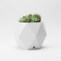 3D printed geometric mini planter with modern polygonal design in white PLA material