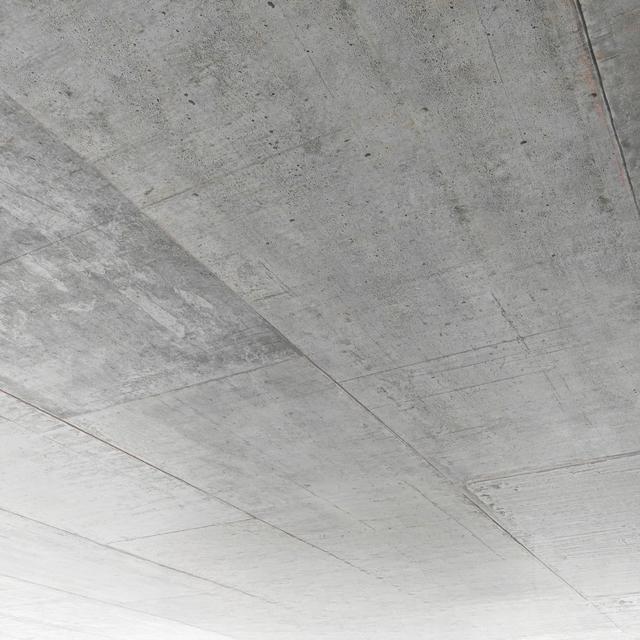 Concrete Ceiling Modern covering
