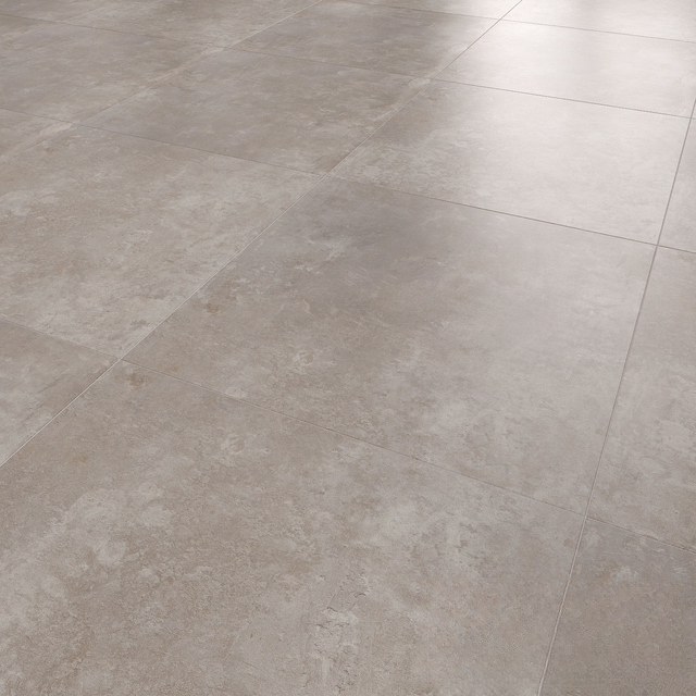 Grey Floor Tiles covering