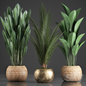 Green Plant Decor