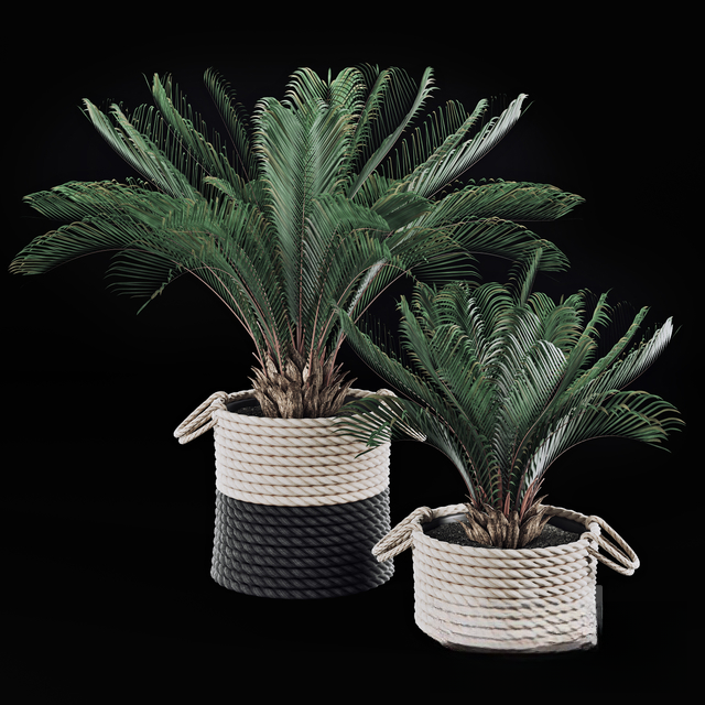 Woven Basket Plant Pot