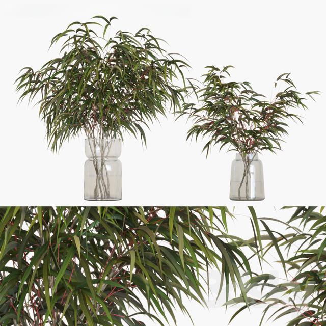 Green Plant Glass Vase