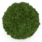 Green Round Topiary