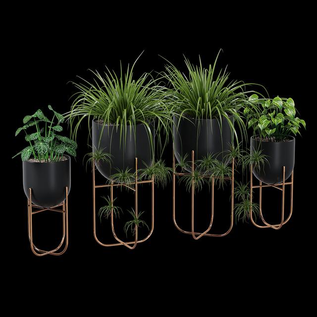 Modern Metal Plant Pot