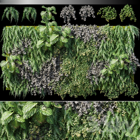 Green Plant Wall