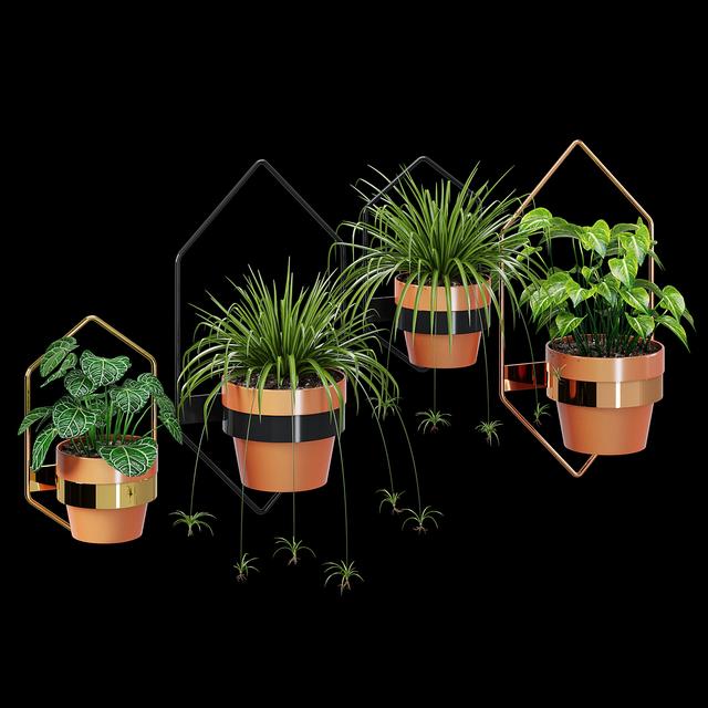 Geometric Copper Plant Holder