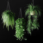 HangingGreenPlant