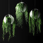 Hanging Plants Modern