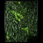 Green Plant Wall Decor