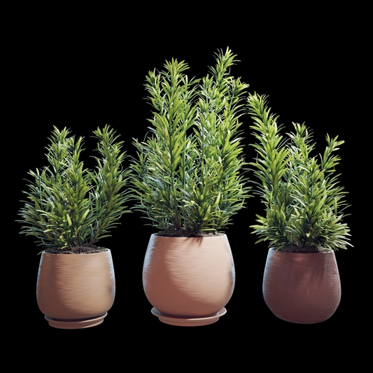 Green Plant Flowerpot