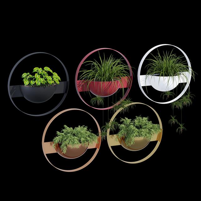 Modern Circular Wall Planters