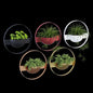 Modern Circular Wall Planters