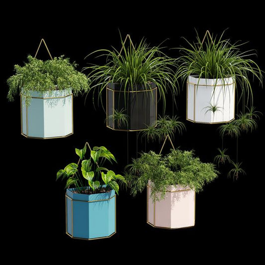 Colorful Hanging Planters