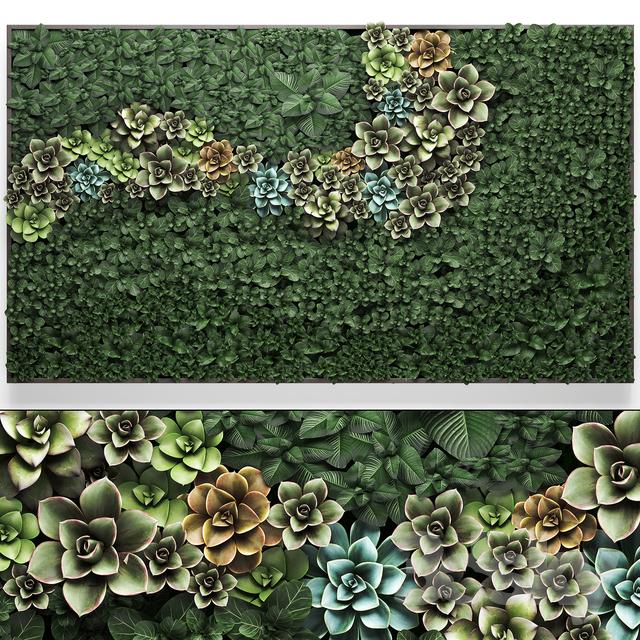 Green Succulent Wall