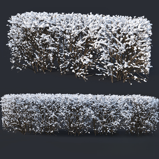 Snowy Bush Garden