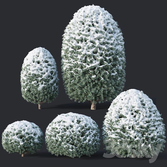 Green Bushy Outdoor