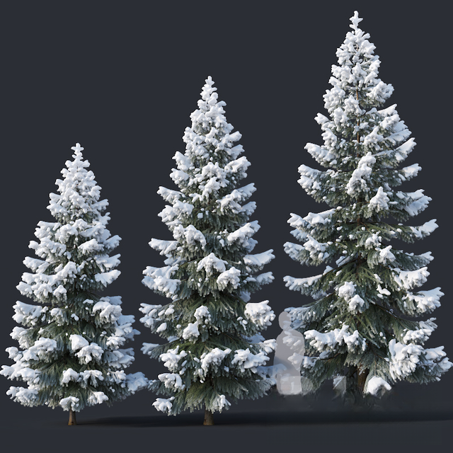 Snowy ChristmasTree