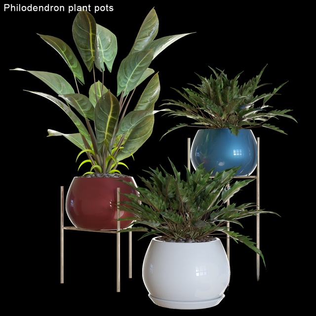 RoundColorfulPlant pots